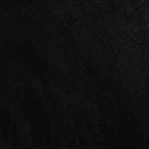 Meet your Posher, Marley marsh